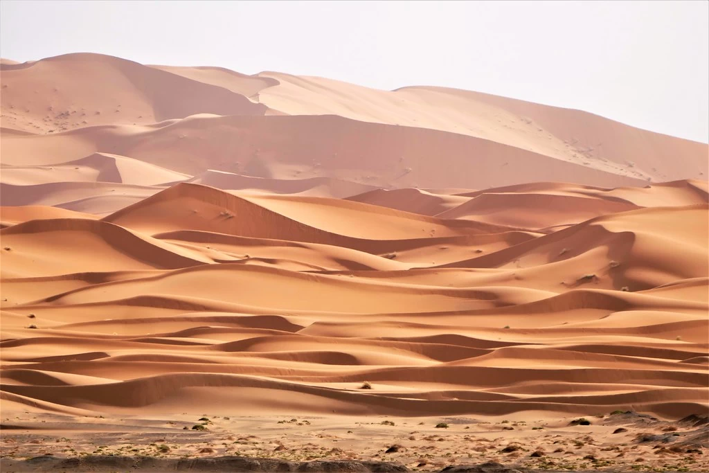 Nota sobre Tours al desierto de Marruecos, experiencias turísticas imperdibles