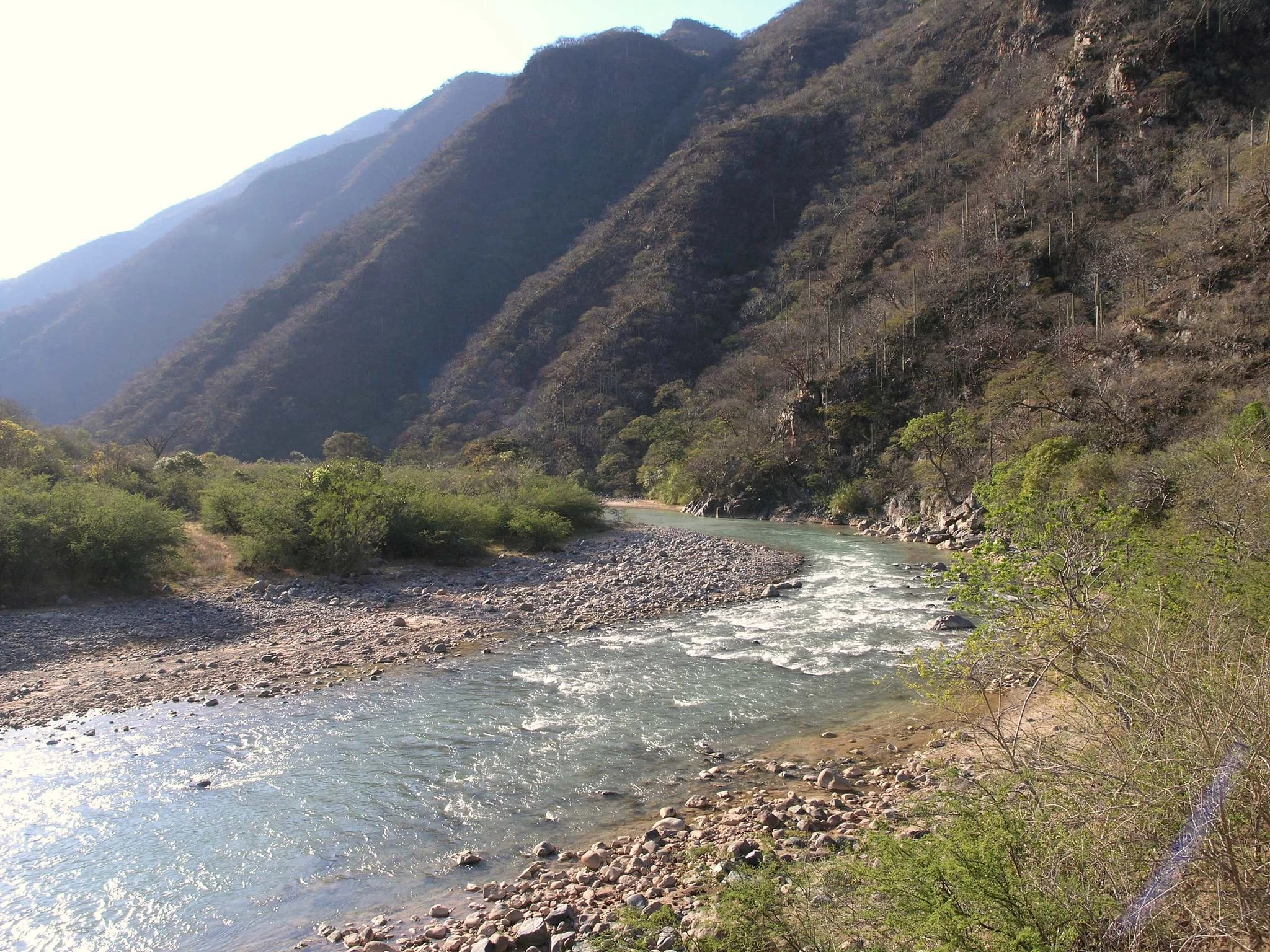 Nota sobre Las mejores playas de Tabasco para quienes aman la naturaleza