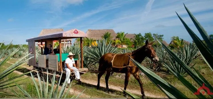 Nota sobre Hacienda Chichen, Yucatán