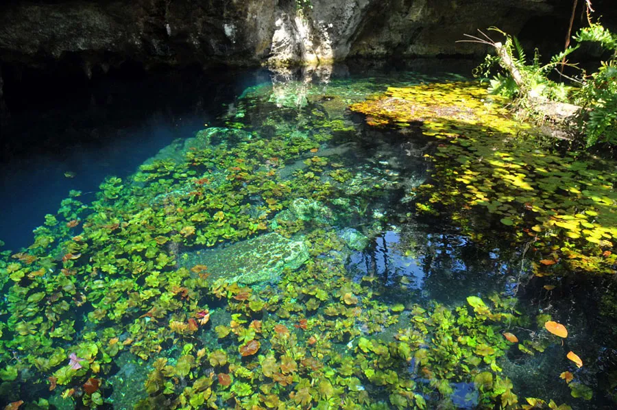 Nota sobre Cenote Sac Aktun, Quintana Roo