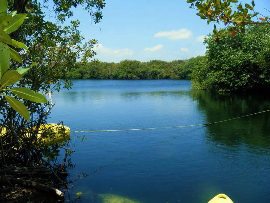 Nota sobre El Cenote Ox Bel Ha, Quintana Roo