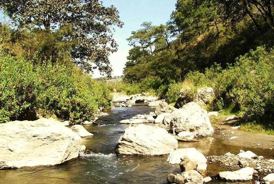 Nota sobre Reserva de la Biosfera Sierra de Manantlán, Jalisco
