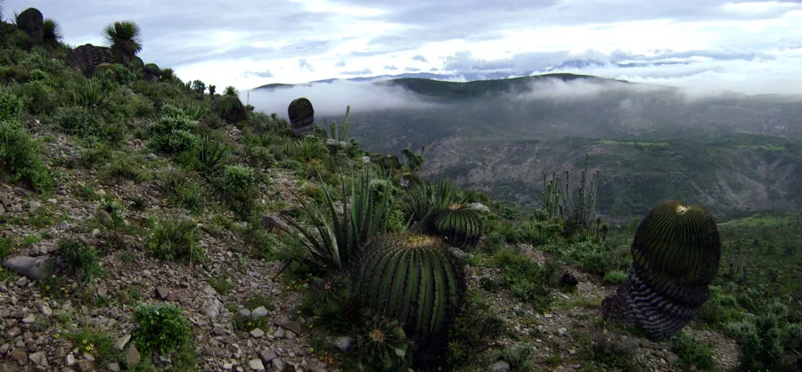 Nota sobre Reserva de la biosfera Sierra Gorda, Querétaro