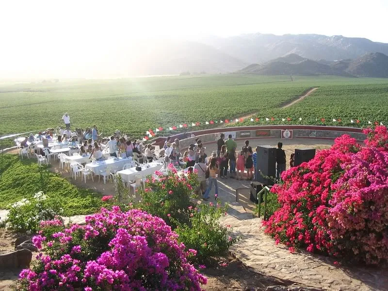 Nota sobre Ruta del Vino, Baja California