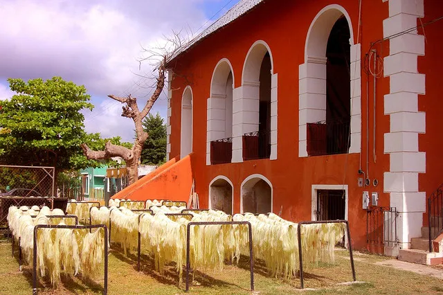 Nota sobre Haciendas henequeneras, el oro de Yucatán