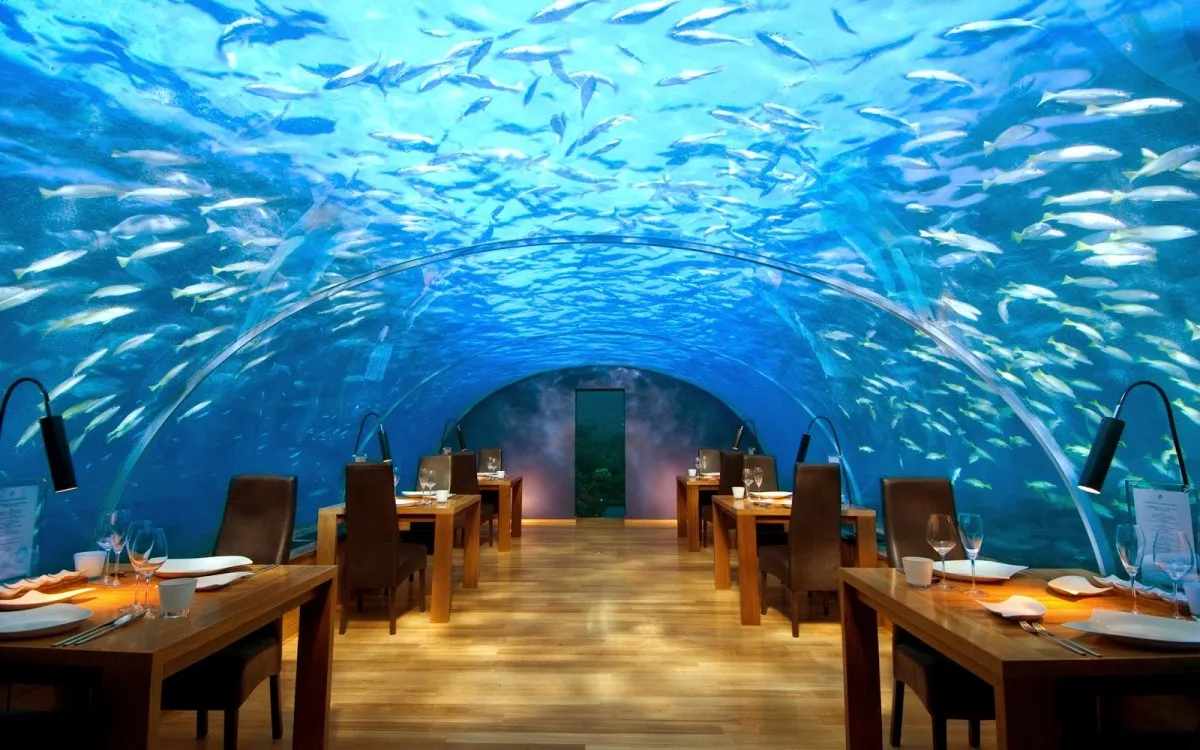 Nota sobre Increíble restaurante submarino en las profundidades del Mar Rojo
