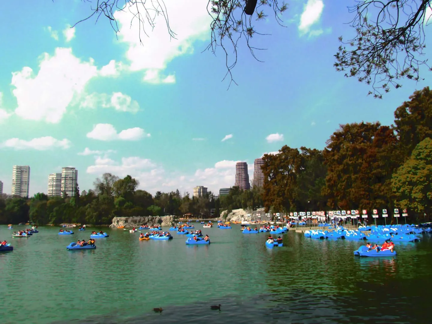 Nota sobre Fin de semana en el Lago de Chapultepec