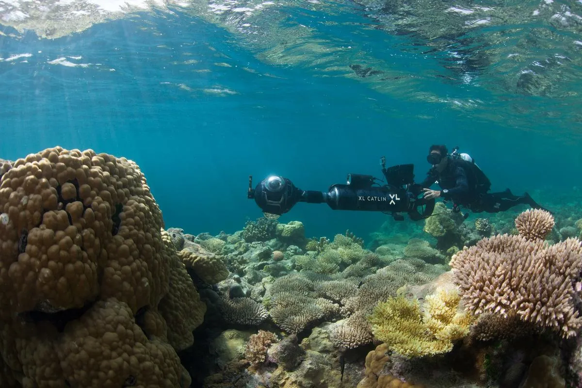 Nota sobre Caitlin Seaview: explorando virtualmente los arrecifes de coral