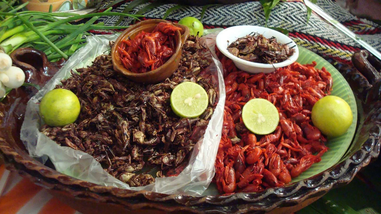 Nota sobre Los insectos en la comida típica mexicana