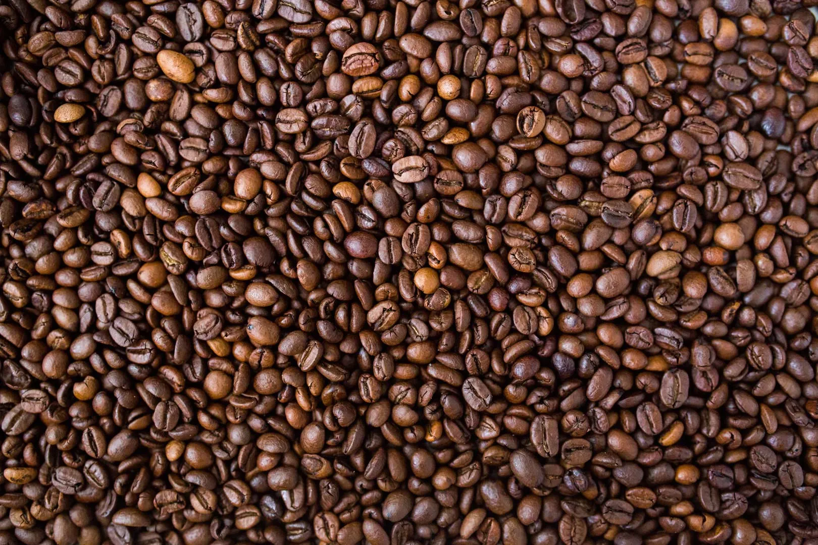 Nota sobre Conoce más sobre los orígenes del café