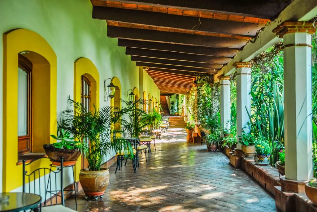 Nota sobre Un paseo primaveral por la Hacienda Los Laureles en Oaxaca