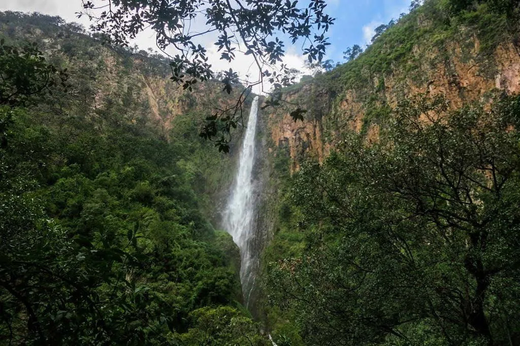 Nota sobre Vive la aventura en la Cascada de Cacalotenango, en Guerrero