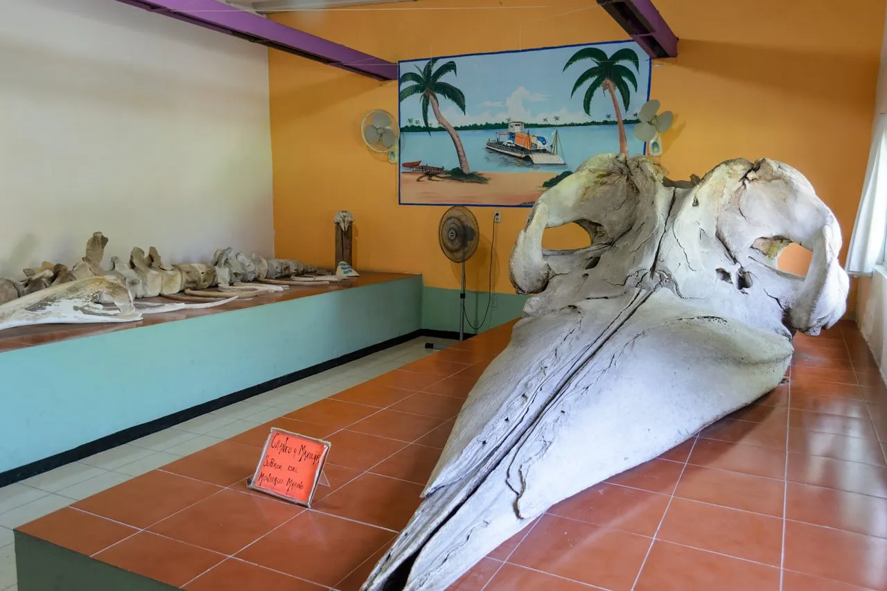 Nota sobre Museo Interactivo La Avispa, un divertido museo en Chilpancingo