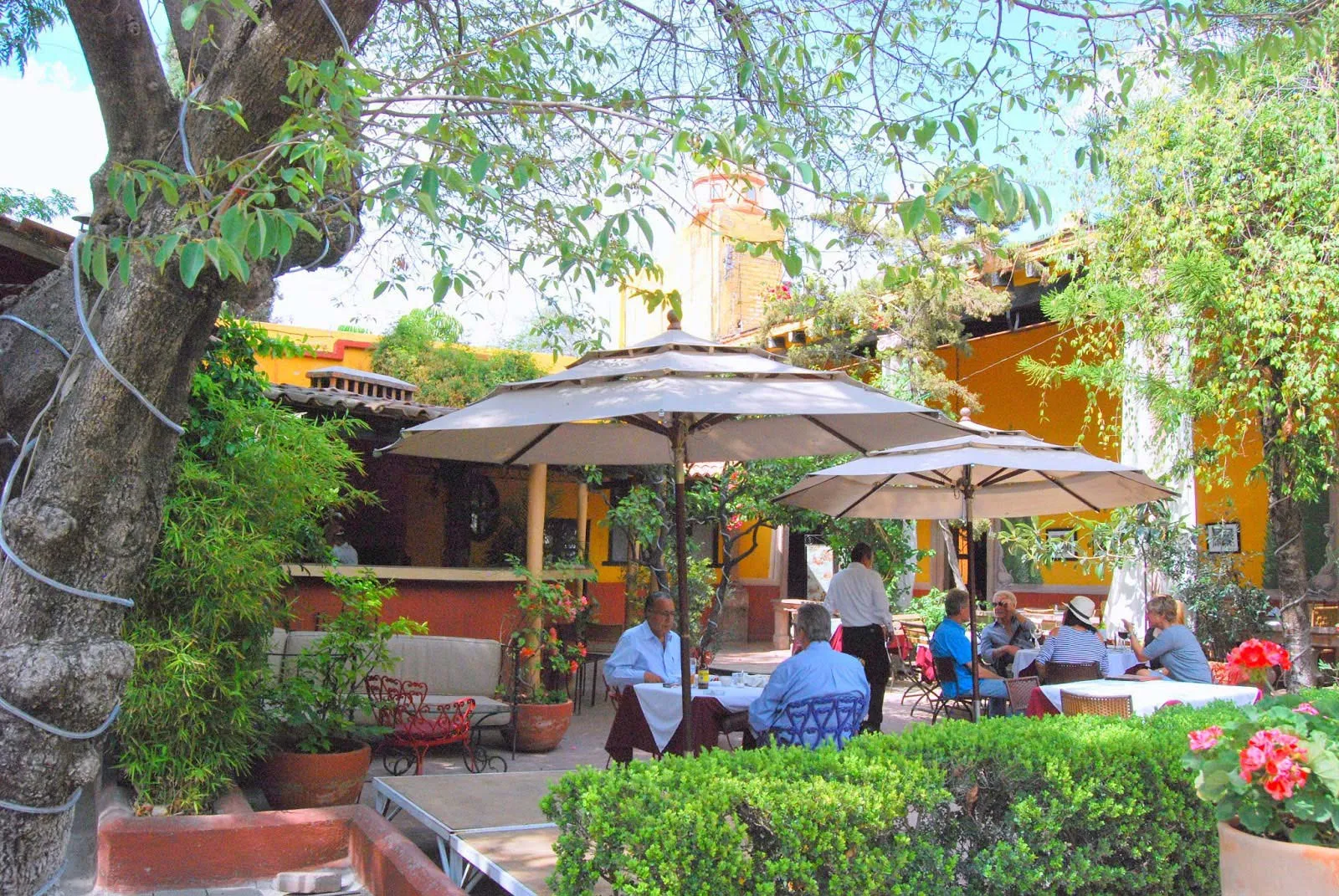Nota sobre Dónde comer en San Miguel de Allende, Guanajuato