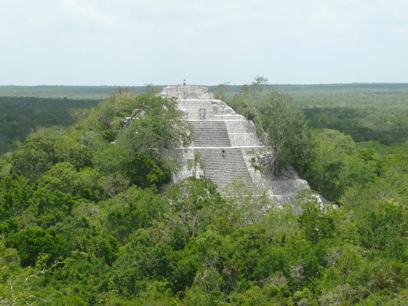 Nota sobre Calakmul, una antigua ciudad maya ubicada en Campeche