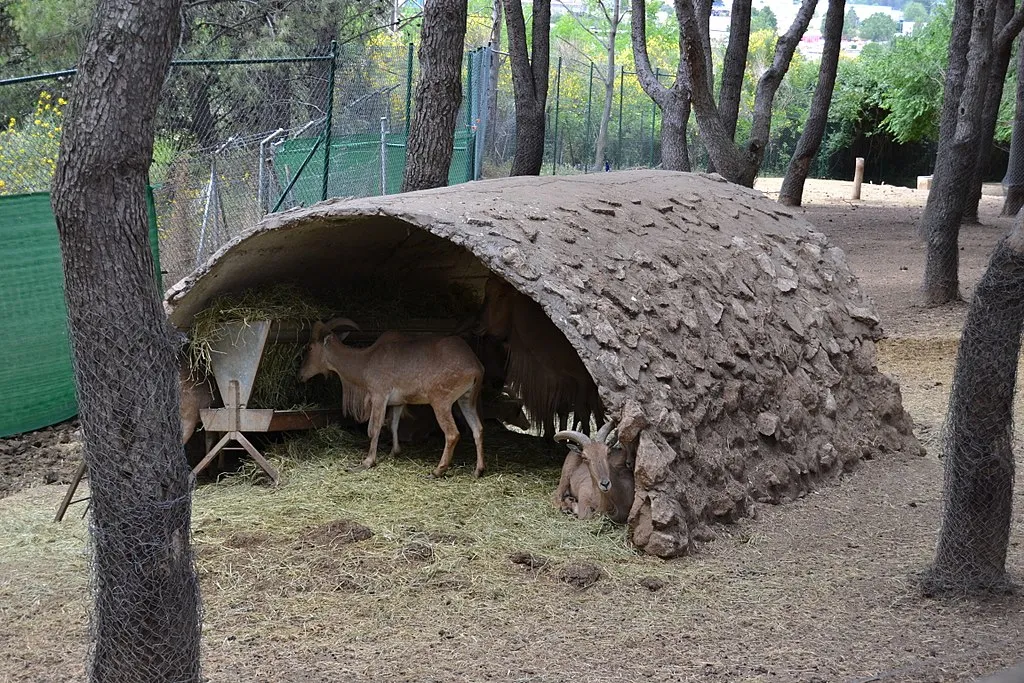 Nota sobre Visita con tus amigos el Zoológico de Guadalajara