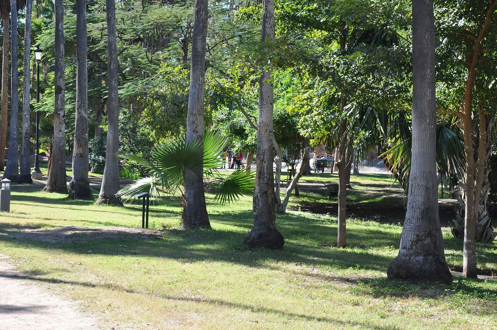 Nota sobre Disfruta una experiencia ecoturística en Tlatlauquitepec