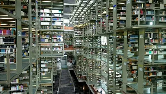 Nota sobre Biblioteca Vasconcelos, un hermoso recinto donde yacen los sueños