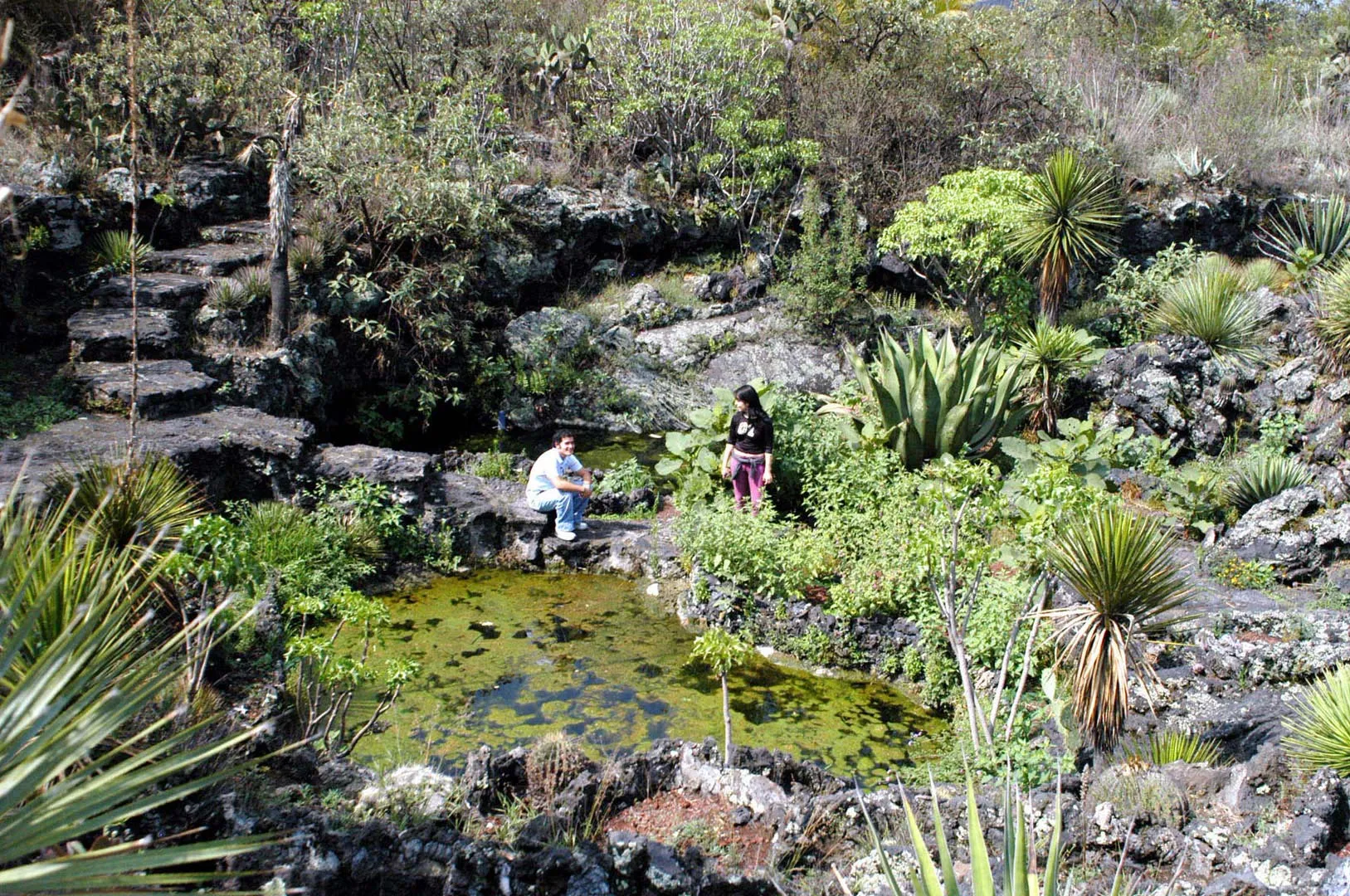 Nota sobre Fin de semana en el Jardín Botánico de la UNAM