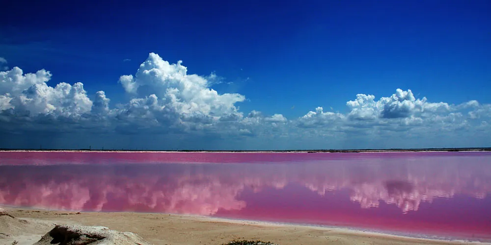 Nota sobre Ría Lagartos y las Coloradas, naturaleza en Yucatán