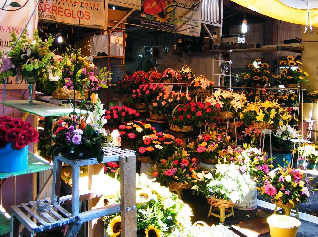 Nota sobre Flores y florerias en la Ciudad de México 