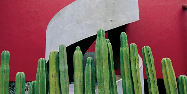 10 Barrios Mágicos del DF que debes visitar