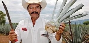 Cacao, vino y tequila, las rutas de un México que sabe bien Cacao