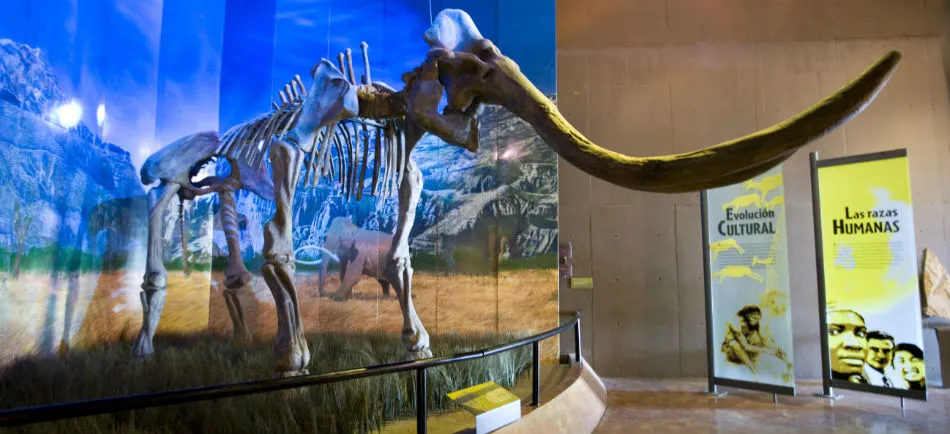 Visita los museos en México