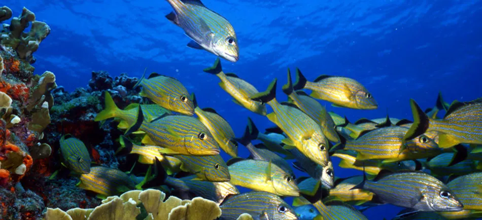 El amanecer en Sian Ka’an El amanecer en Sian Ka’an