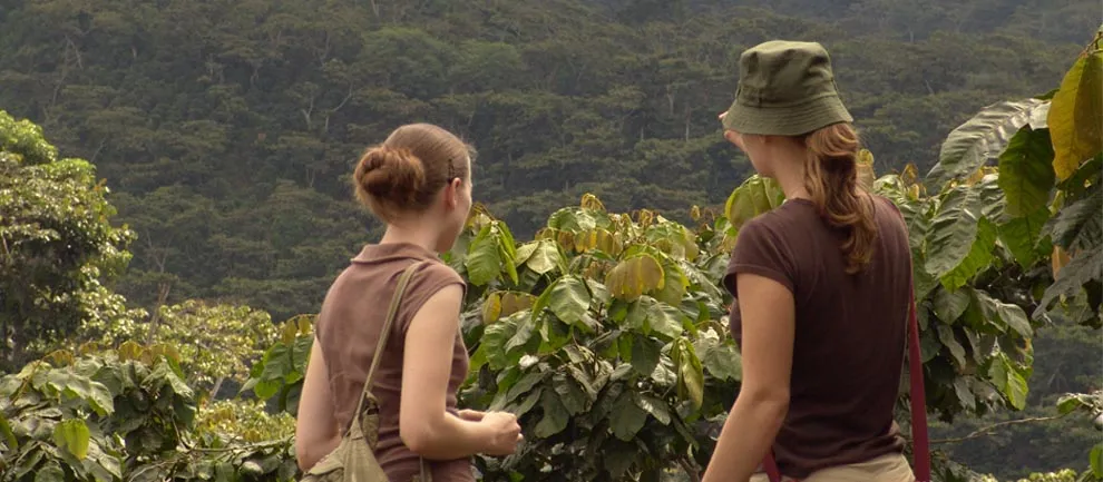 Ruta de Tapachula a San Cristóbal de las Casas, Chiapas Ruta de Tapachula a San Cristóbal de las Casas