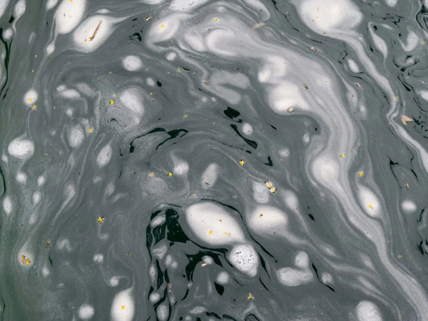 ¿Quién fue  Cocijo en nuestro México antiguo?