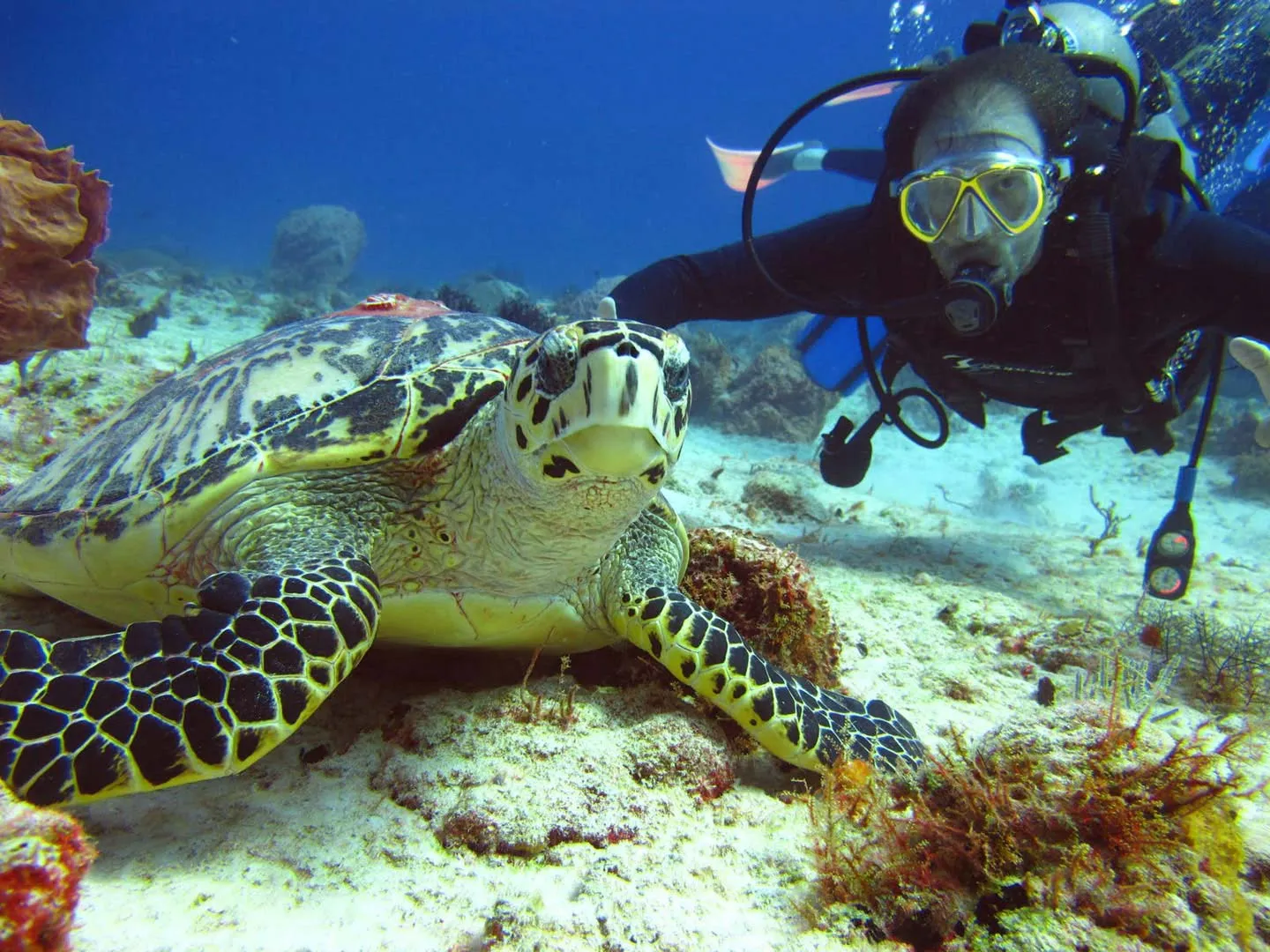 Recomendaciones para practicar buceo