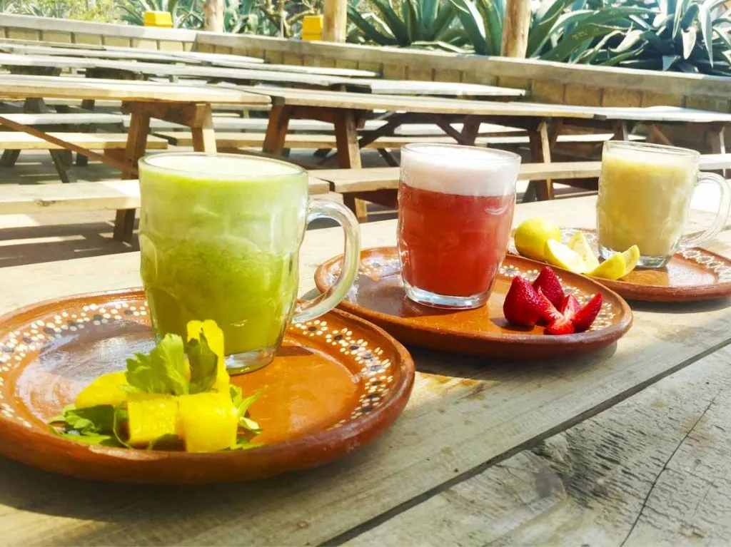 Brindando entre pulque y cerveza artesanal en Coyoacán