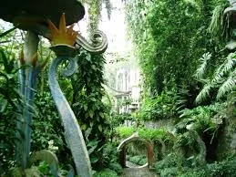 Xilitla Pueblo Magico