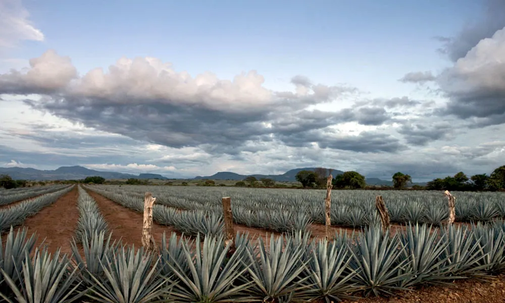Tequila, nombre compartido por una bebida y un Pueblo Mágico Tequila
