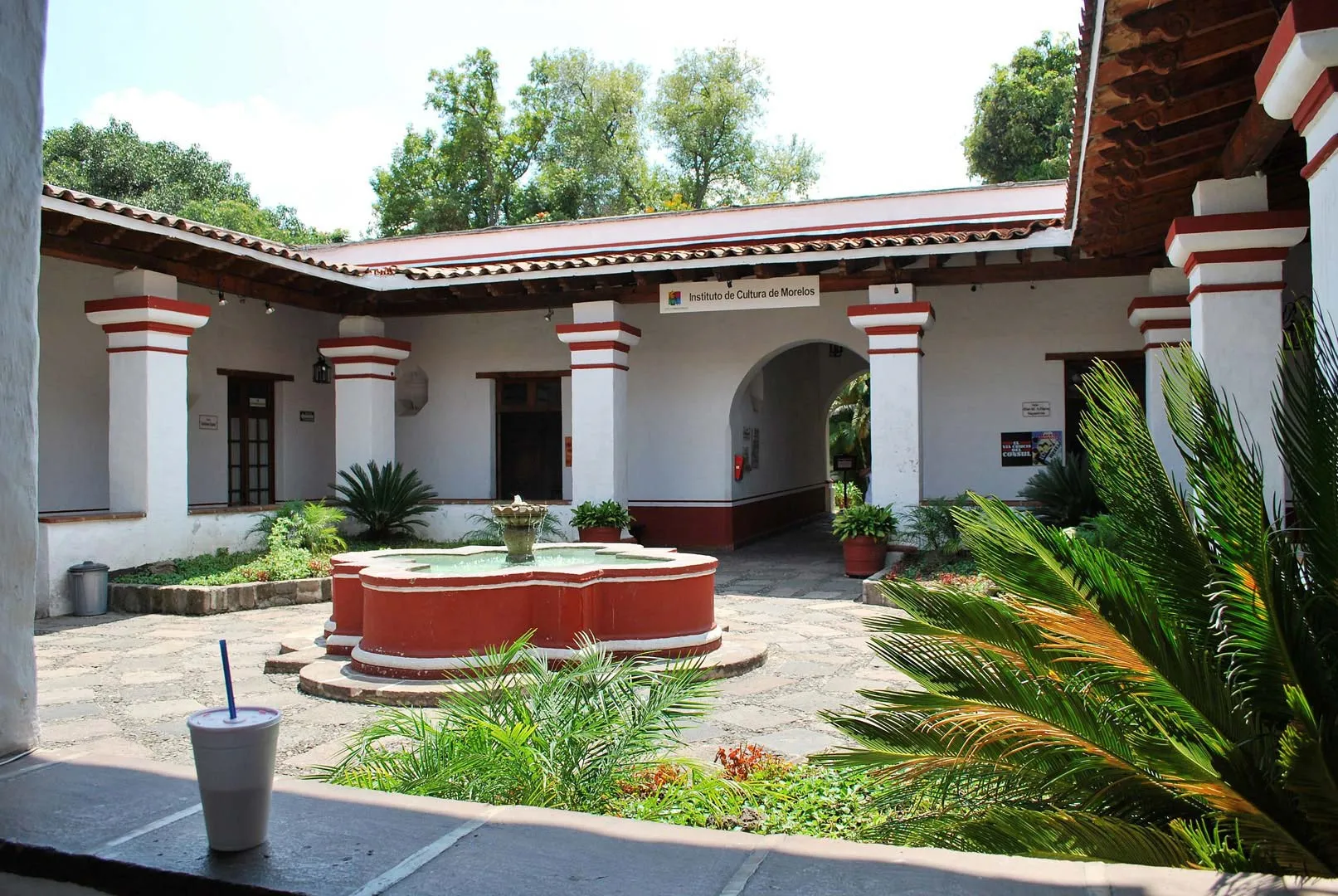 Deja que tus peques se diviertan en Cuernavaca Deja que tus peques se diviertan en Cuernavaca