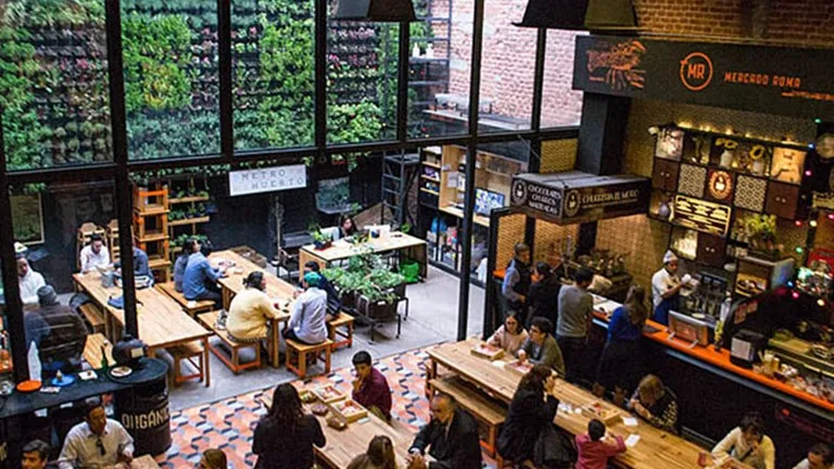 Degusta platillos gourmet en el Mercado Roma