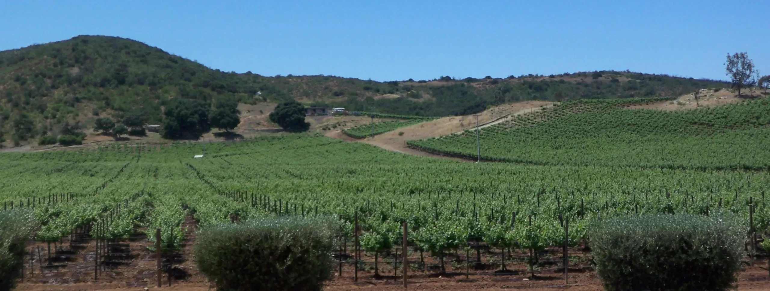 Valle de Guadalupe, sitio excelente para eventos especiales Valle de Guadalupe
