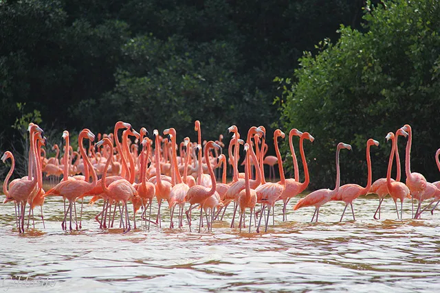 8 atractivos curiosos y asombrosos que ver en península Yucatán (México) / 2 de 2