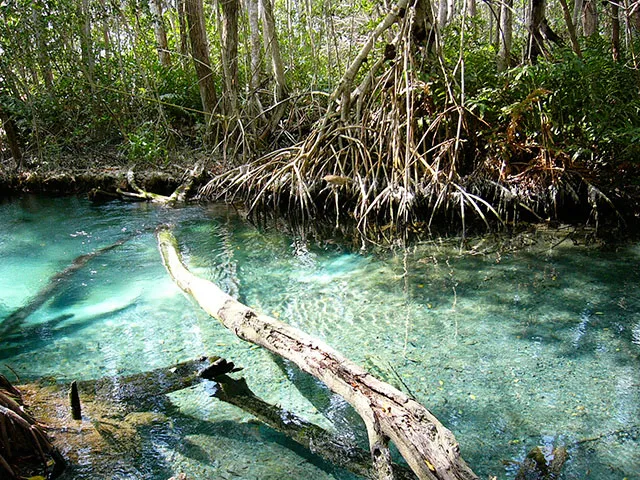 8 atractivos curiosos y asombrosos que ver en península Yucatán (México) / 2 de 2