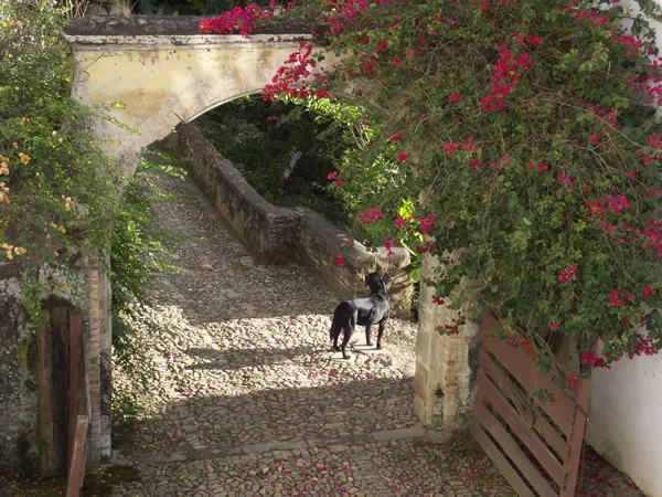 Valle de Bravo Pueblo Magico