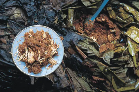 5 pueblos para comer rico y diferente