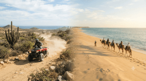 Cuatrimotos vs. Paseo en camello: ¿Qué tour elegir en tu viaje a Los Cabos? Cuatrimotos vs. Paseo en camello: ¿Qué tour elegir en tu viaje a Los Cabos?