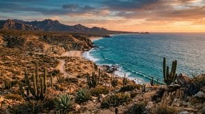La Ruta de Baja California: Un Viaje Inolvidable La Ruta de Baja California: Un Viaje Inolvidable